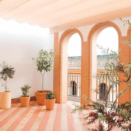 Monkeys Pureza House Апартаменты *