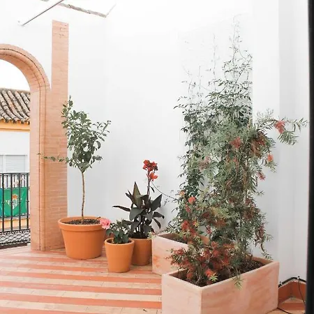 Апартаменты Monkeys Pureza House Севилья