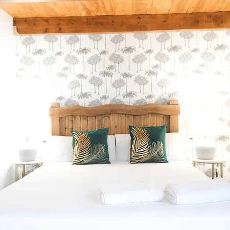 Апартаменты Monkeys Pureza House